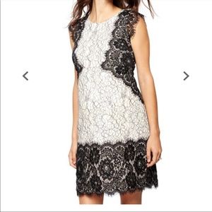 A Pea In The Pod Black & White Lace Dress